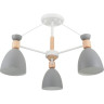 Потолочный светильник FREYA DELIA FR5033CL-03W